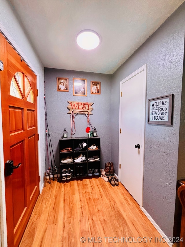 foyer with hardwood / wood-style floors