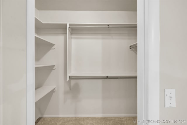 spacious closet with light carpet