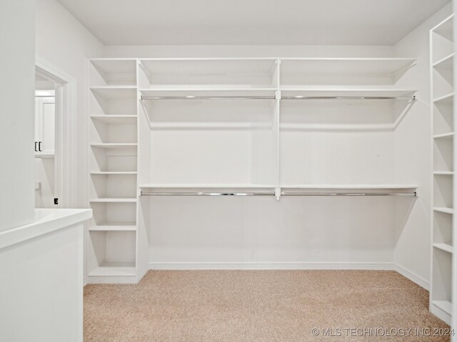 walk in closet with light colored carpet