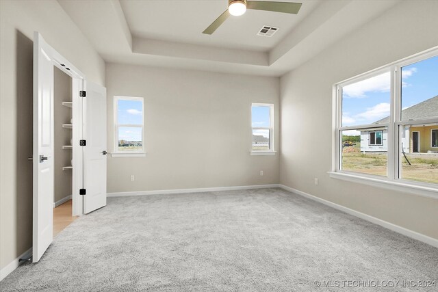 interior space with a tray ceiling, ceiling fan, and plenty of natural light