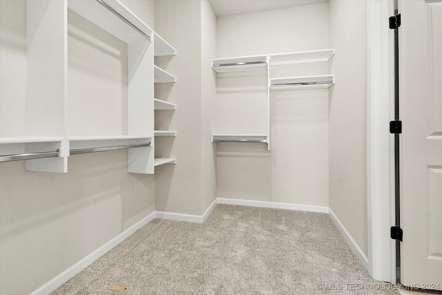 spacious closet with light colored carpet