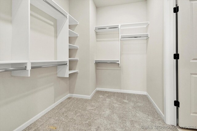 spacious closet with light colored carpet