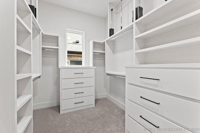 spacious closet with light colored carpet