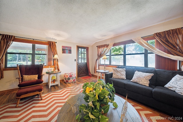 living room featuring a healthy amount of sunlight, a textured ceiling, and hardwood / wood-style floors