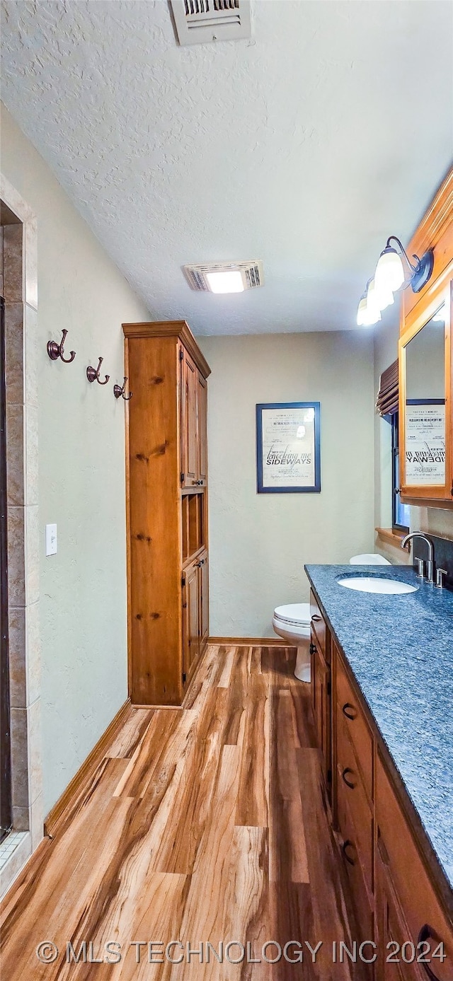 bathroom featuring wood-type flooring, vanity, a textured ceiling, and toilet