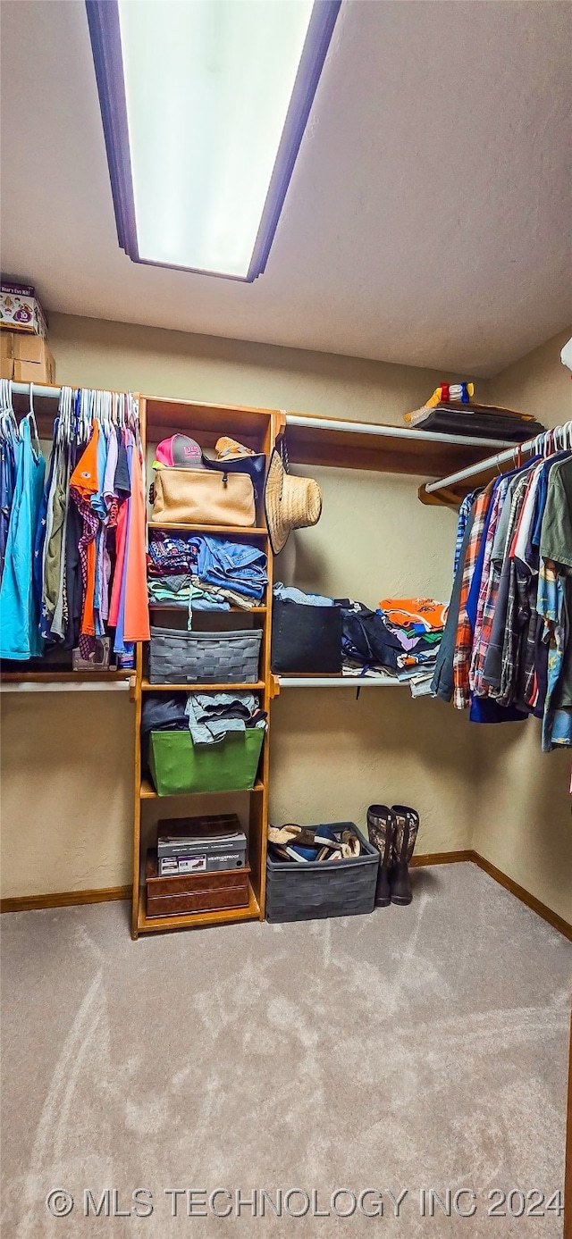 walk in closet featuring carpet flooring