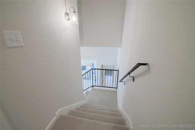 stairs with carpet flooring