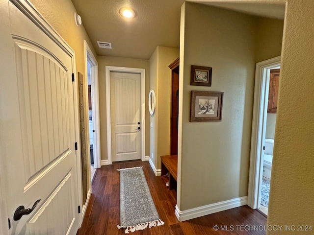 entryway featuring dark wood-type flooring