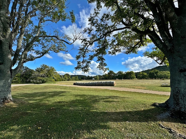 view of community featuring a rural view and a lawn