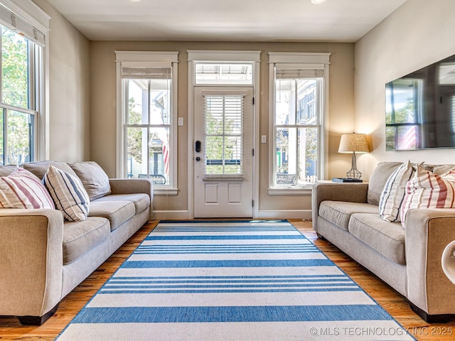 living room with hardwood / wood-style flooring