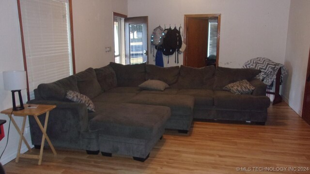 living room with wood-type flooring