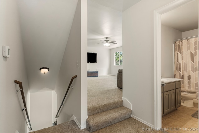 staircase with carpet flooring and ceiling fan