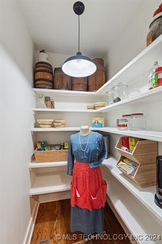 view of pantry