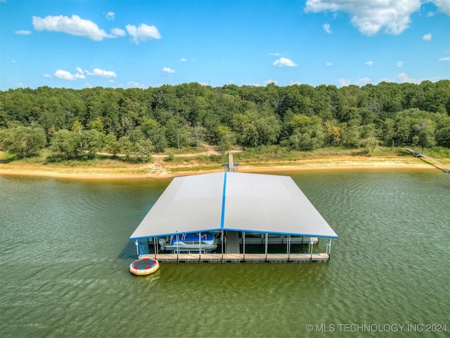 dock area featuring a water view