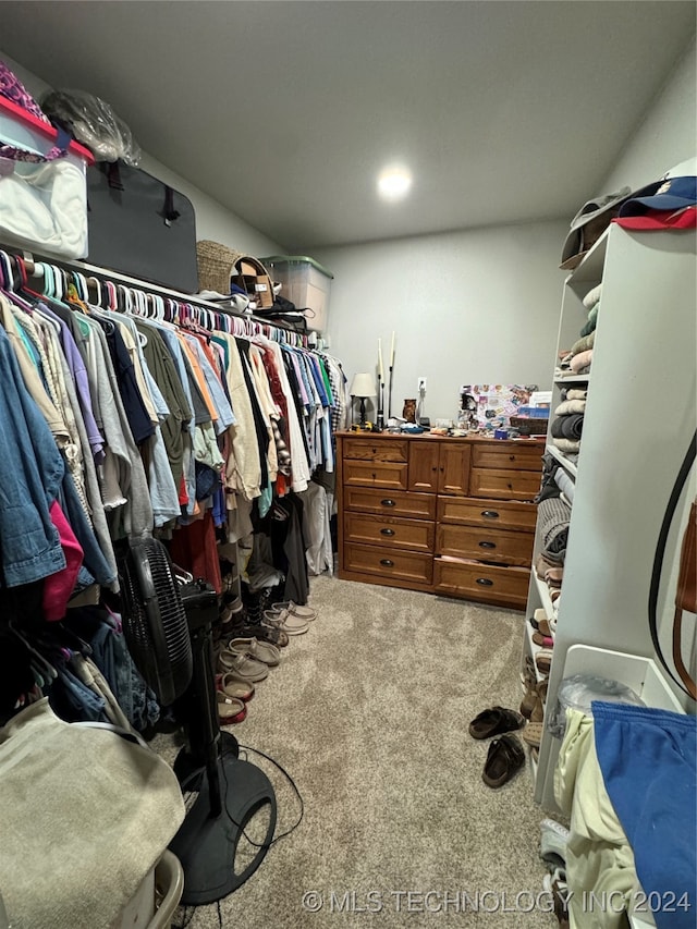 spacious closet with light carpet