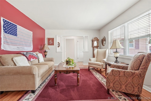 living room with wood-type flooring