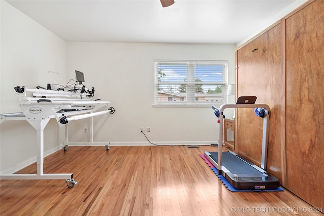 workout area featuring ceiling fan and light wood-type flooring