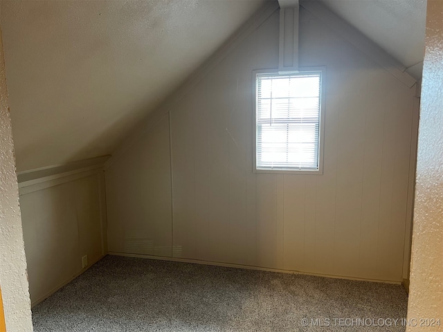 bonus room featuring a textured ceiling, lofted ceiling, and carpet flooring