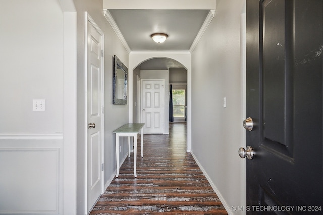 hall featuring ornamental molding and dark hardwood / wood-style flooring