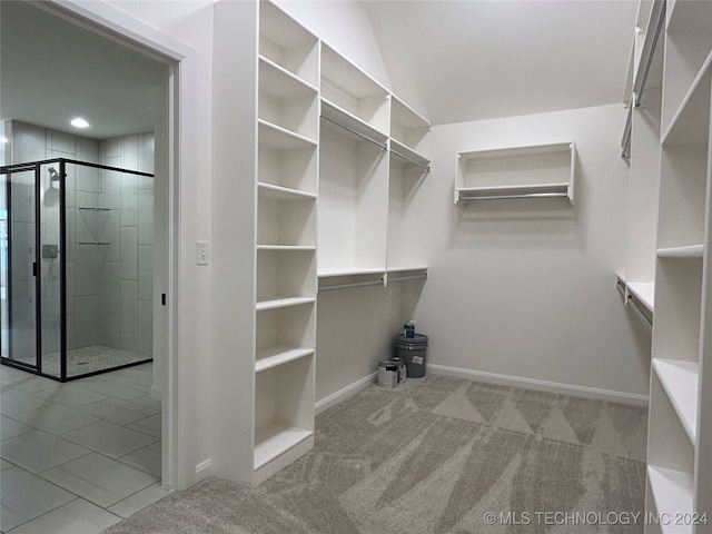 spacious closet with light carpet