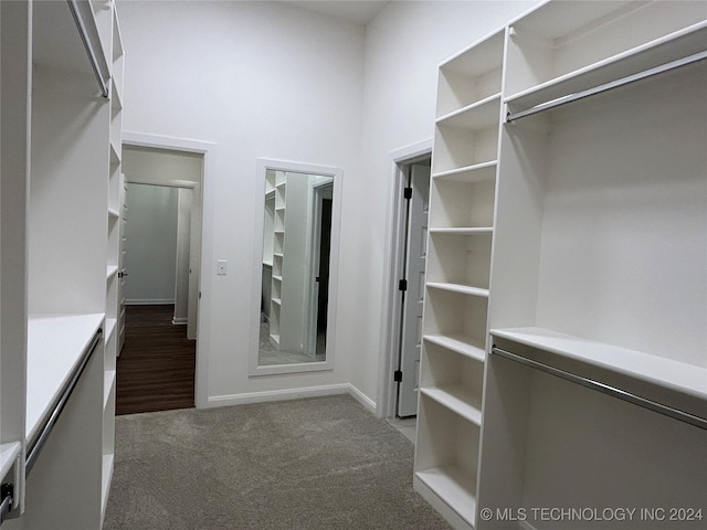 spacious closet with dark carpet