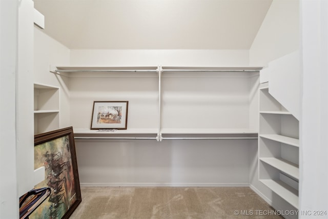 spacious closet with light colored carpet