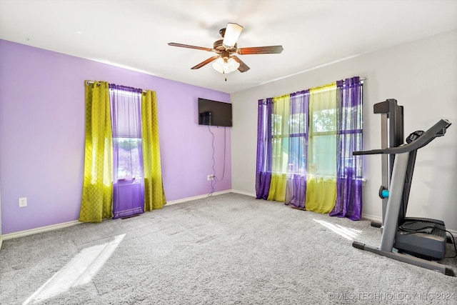 workout area with carpet flooring, ceiling fan, and plenty of natural light