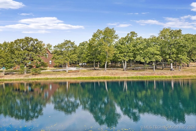 view of water feature