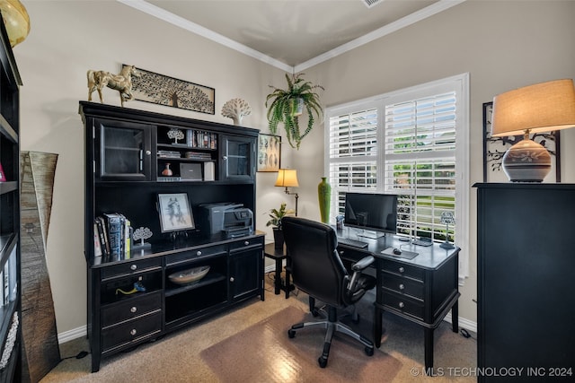 carpeted home office featuring ornamental molding