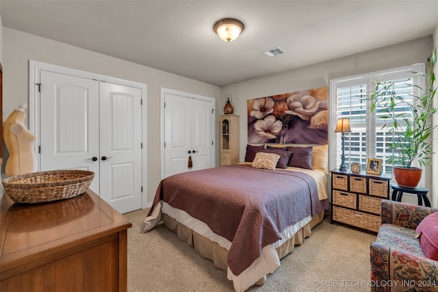 carpeted bedroom with two closets