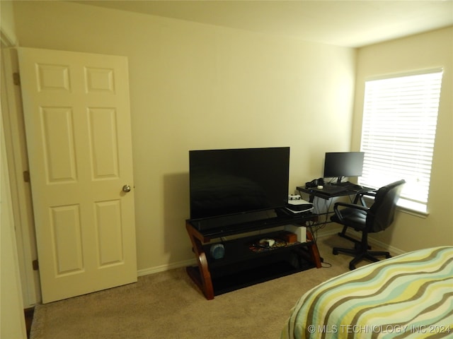 view of carpeted bedroom