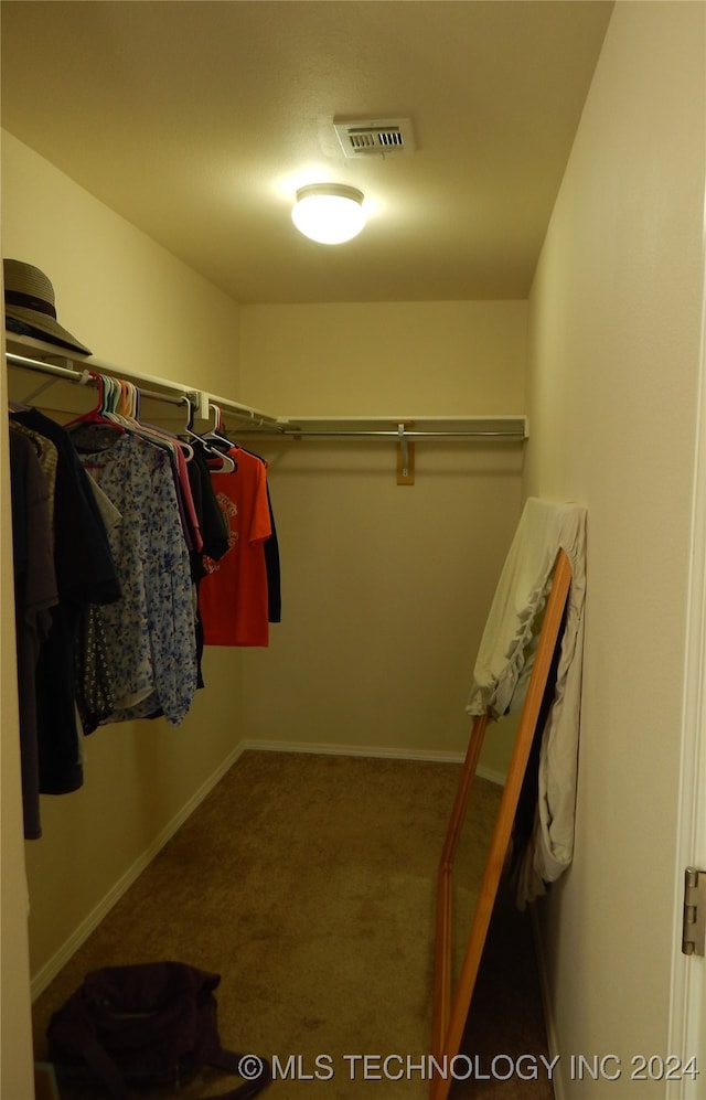 walk in closet featuring carpet floors