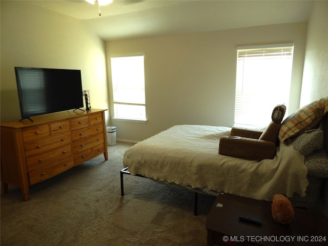 bedroom with light colored carpet