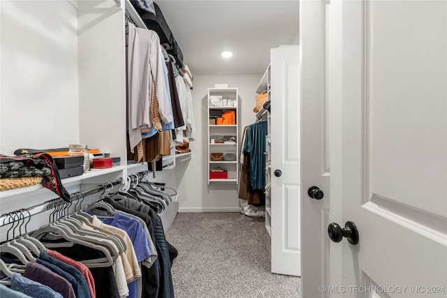 walk in closet with light carpet