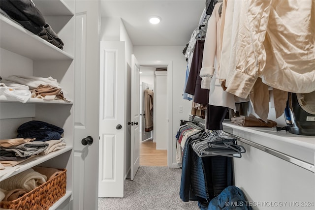 walk in closet featuring light carpet