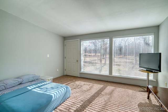 bedroom featuring light colored carpet