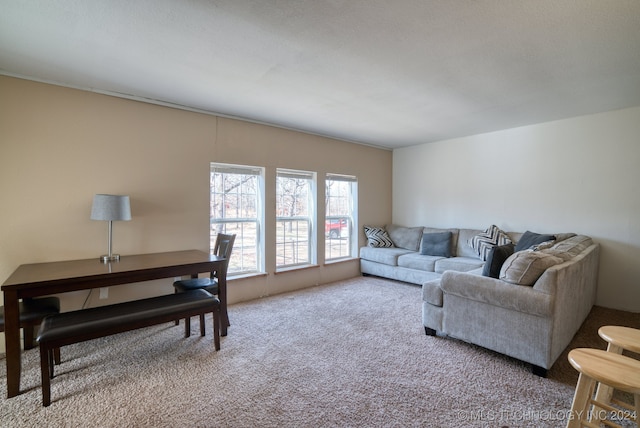 living room with carpet