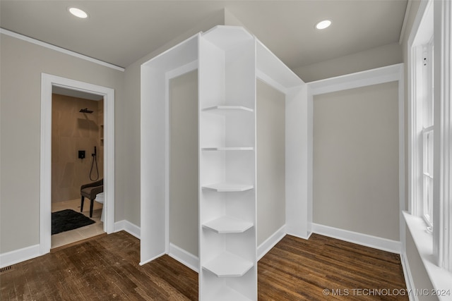 walk in closet featuring dark wood-type flooring