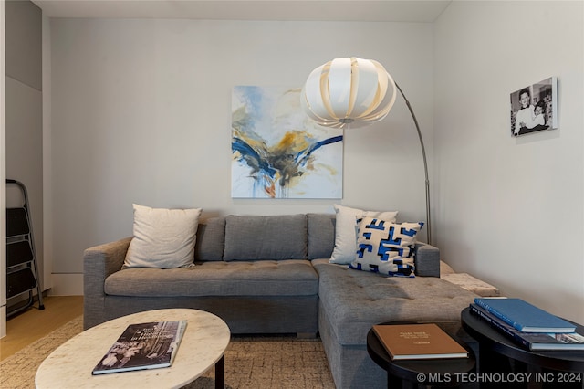 living room featuring light hardwood / wood-style flooring