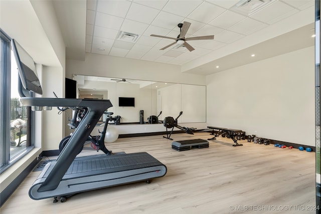 exercise area featuring ceiling fan, a drop ceiling, and light hardwood / wood-style floors