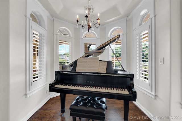 misc room featuring a healthy amount of sunlight, ornamental molding, dark hardwood / wood-style flooring, and a notable chandelier