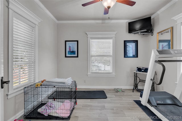 exercise room featuring light hardwood / wood-style flooring, ceiling fan, and ornamental molding