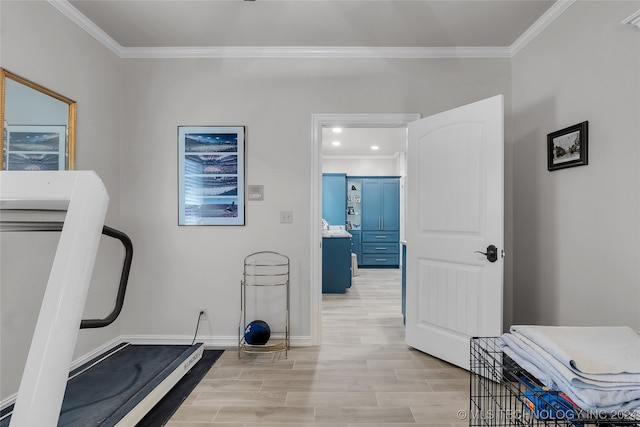 workout area with light wood-type flooring and ornamental molding