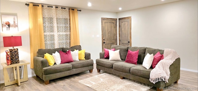 living room with wood-type flooring