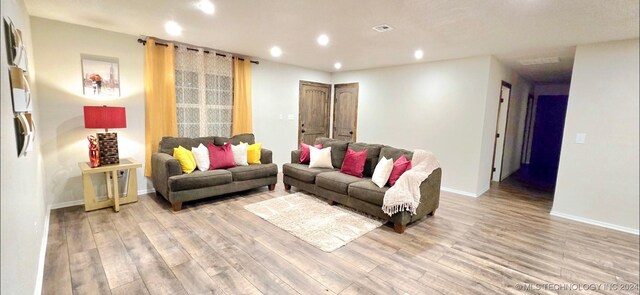 living room featuring hardwood / wood-style flooring