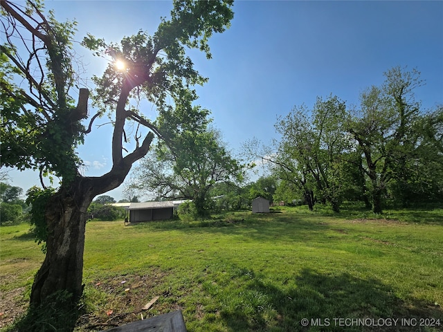 view of yard with a shed