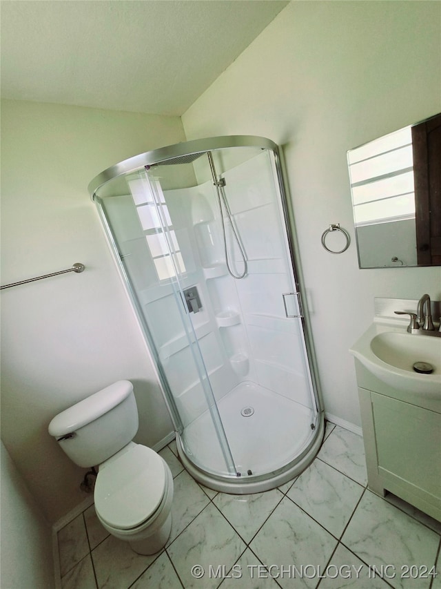 bathroom featuring vanity, lofted ceiling, toilet, and a shower with door