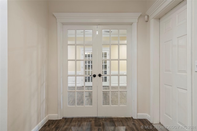 doorway featuring dark wood-type flooring and french doors