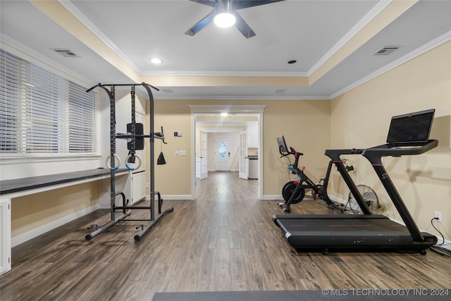 exercise area with ceiling fan, a tray ceiling, crown molding, and dark hardwood / wood-style floors