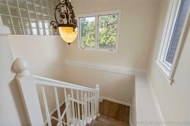 stairway featuring wood-type flooring